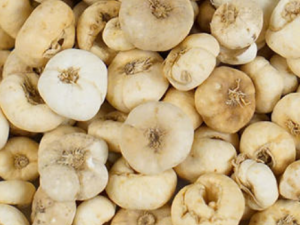 ƽ��ĸ����Щ��Ч ƽ��ĸ ���ڷ������