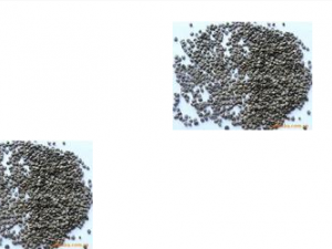 �������ӵĹ�Ч������ ����������������ʹ