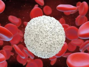 ��Ѫ�������ô���� ��Ѫ������Ӧ��