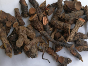 ����������Щ��Ч �������μ����Գ�θ��