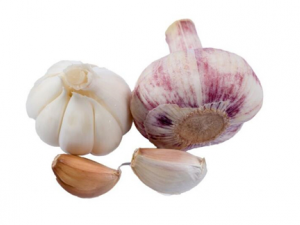 �ճ������г�ʲô�ɼ��� �����߲�������Щ��