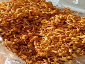 �ݻ�������Щ��Ч �ݻ���ɢ���������˷�ͷ��