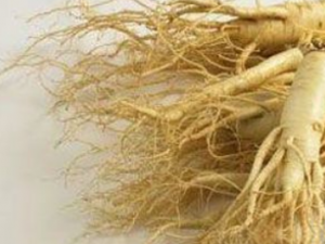 ��ɽ��Ƭ�Ĺ�Ч���� ��ɽ��Ƭ�����·�ƽ��