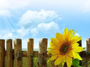 ��������������˯���ϰ� ������Ҫ�к�˯��Ҫ��������