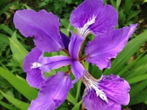 ���̰���������Щ ���̰��������Ƚⶾ������