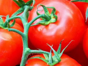 �ո����ܳԵ�����ʳ�� ��Щʳ��ո��Ժ���θ