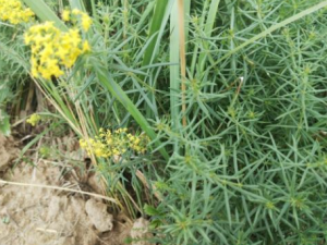 ���Ӳ�����Щ��Ч ���Ӳ��κ�����ʹ