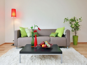 ��׸���α����Լ� �����Щ����Ҫ����