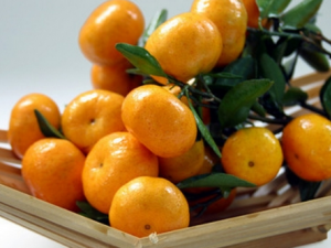 ��������ʳ�õ�����ʳ�� ������������