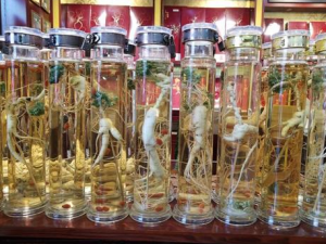 ��������ķ��� ��ʲôҩ���ܲ�������