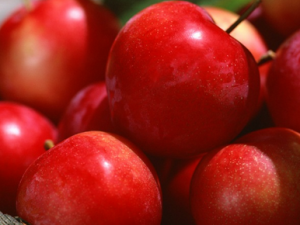 ��������Ҫע����Щ��ʳ���� ��Щˮ������Ҫ�ٳ�