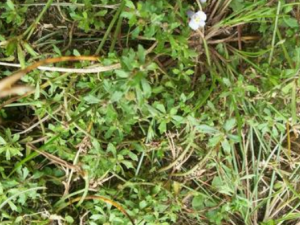 Ť��ݵĹ�Ч Ť����ε�������