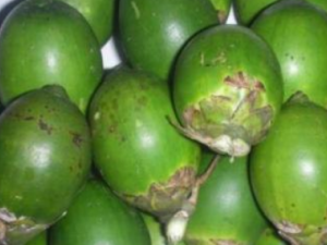 ����ɢ�Ĺ�Ч ����ɢ��ʳ������