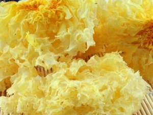 ����������� ��������ĵ�������