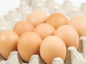 �����ܺͶ���һ����� �����Ĵ������