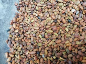 ����������Щ��Ч ������������Ƥ��