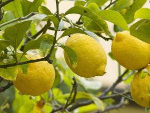 ά����c�����ݹ�Ч �ڷ�ά����c������Ч����