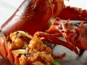 ���̫��ʢ���������� �����Ҫע��Ľ���