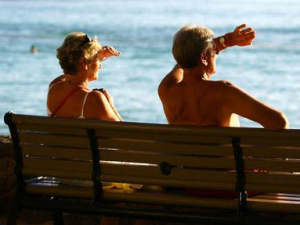 �������ļ��¿ɳ��� һ����������