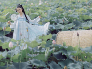 Ľ������Щ��Ч Ľ�������ӹ��Ѵ�