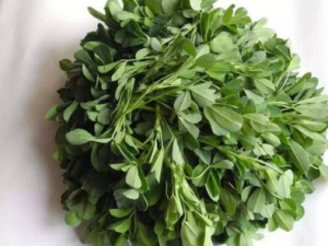 ��ޣ����Щ��Ч ��ޣ�������԰��׽�ʯ