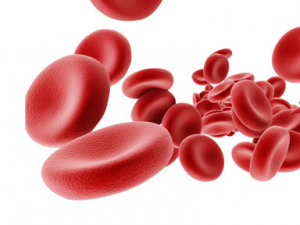 Ѫ쵰׸Ӧʳ Ѫ쵰׸ߵʳ