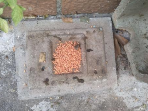 ĵ�������Щ��Ч ĵ�������Ů��ˮ��ͨ