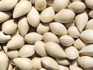 �׹���ķ�������Щ ���ͨ���׹��