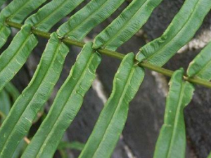 ���ݵĹ��� ���ݿ���������