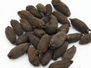 ĸ����Ĺ�Ч���� ĸ�����η�����ڳݼ�