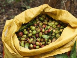 ɽ���͵���߷��� �����ɽ���͵���