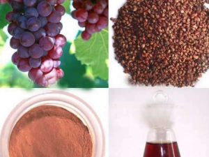 ���������ķ��� �������������Щʳ��