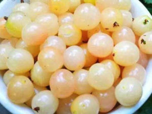 ӣҵĹЧ  ӣҿʪֹʹ