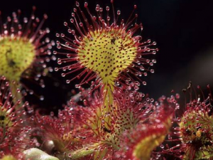 é��˸��Ĺ�Ч é��˸��ν����ʹ