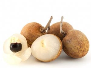 ��Ѫ�������������� ��Ѫ�����ʲô����