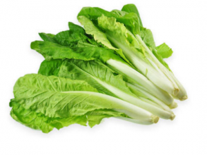 ��˵Ĺ�Ч���� �����ô���ó�