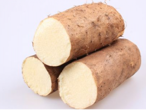 Ů�����������Щ���� ��ô��������Ч����