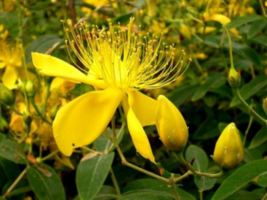 â�ֻ�����Щ��Ч â�ֻ���С�����