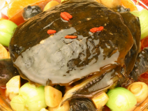 �ճ���Ƣ����ô�����ź� Ƣ�����ʳ����