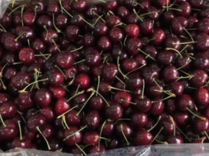 �����ӿ��Լ��ȳ��� �����ӵ�ʳ�ý���