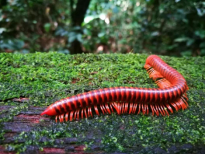 ��½�Ĺ�Ч���� ��½�α�Ϣ��