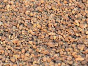 �ط������Ĺ�Ч �ط��������½��Ƚ�