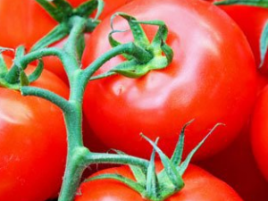 �Է������������ һ����������