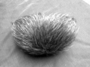 �ⱦ�Ĺ�Ч���� �ⱦ��С��������