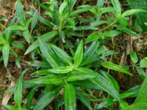 ��غɻ�����Щ��Ч ��غɻ��λ�ŧ�Թ�����