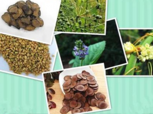 ����Բ�Ĺ�Ч ����Բ�������û�����