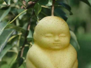 �˲ι�����Щ��Ч���� �˲ι���ʳ�ý���