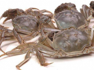 ���зʱҪע����Щ���� ���зʱ���ܳ�ʲôˮ��