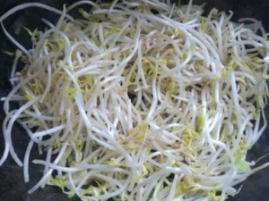 �̶�ѿ����Щ��Ч �̶�ѿ