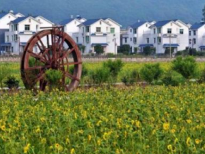 ��ū������Щ��Ч ��ū��������÷�ᶾ